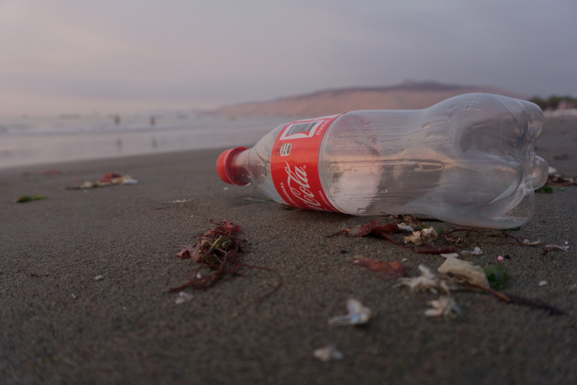Coca Cola Europacific Partners (CCEP) announced investment into carbon conversion research to explore better sustainable packaging materials. Photo by maria mendiola on Unsplash.